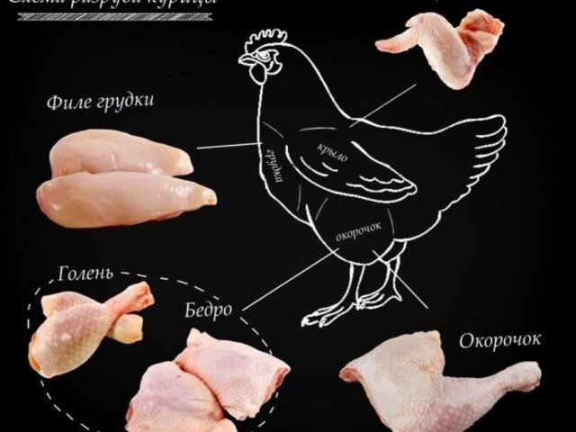 Как правильно разделать курицу: схема, пошаговая инструкция, советы