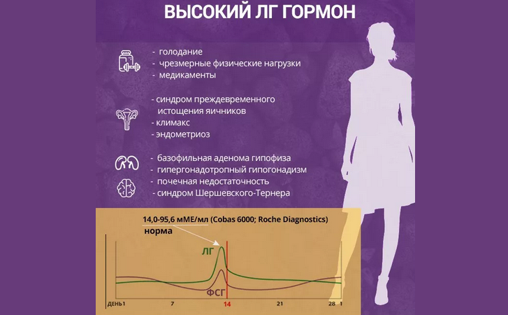 Подобряване на LH при жените и мъжете