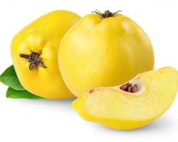 Is it possible to eat raw quince - the benefits for the body and possible harm