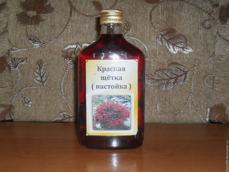 Ready tincture of red brush
