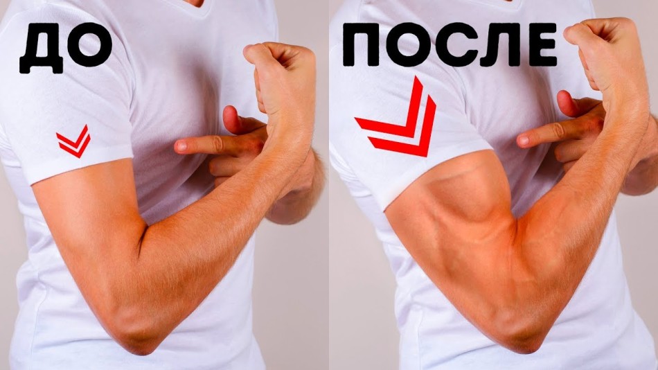 Formation des biceps, triceps et deltas: avant et après