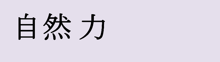 Имя денис на японском языке