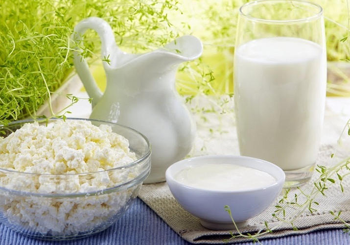 For the normal operation of the digestive tract, sour -milk products are simply necessary