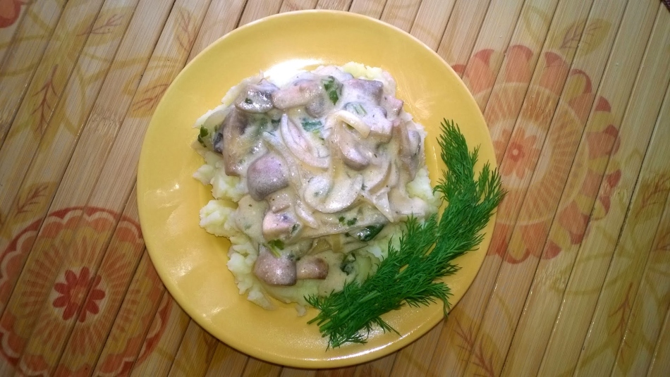 Mushroom sauce from champignons with sour cream to pasta