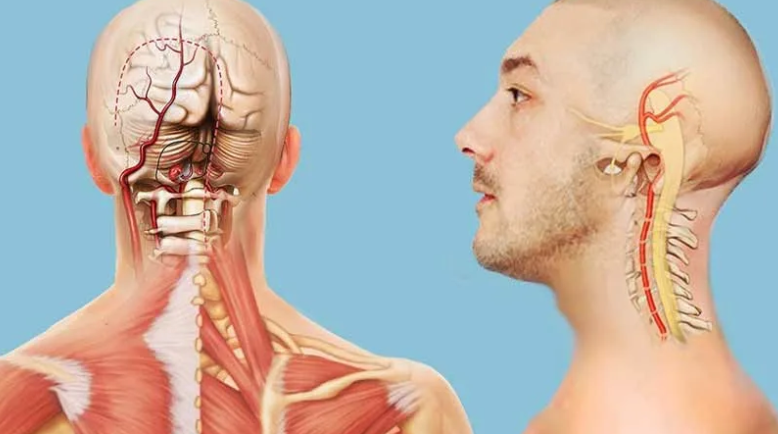 Η αριστερή πλευρά του λαιμού και του προσώπου είναι μούδιασμα
