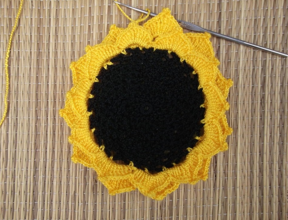 Quindi devi lavorare a maglia una serie di supporti per girasole, completandolo