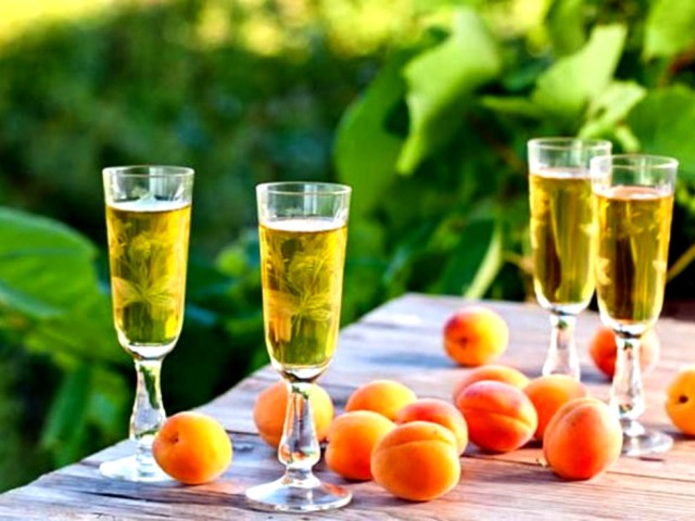 Абрикосовое вино: как сделать в домашних условиях? Вино из абрикосов, с добавлением вишен, яблок, лимонного сока, виноградного вина и специй: лучшие рецепты и секреты приготовления