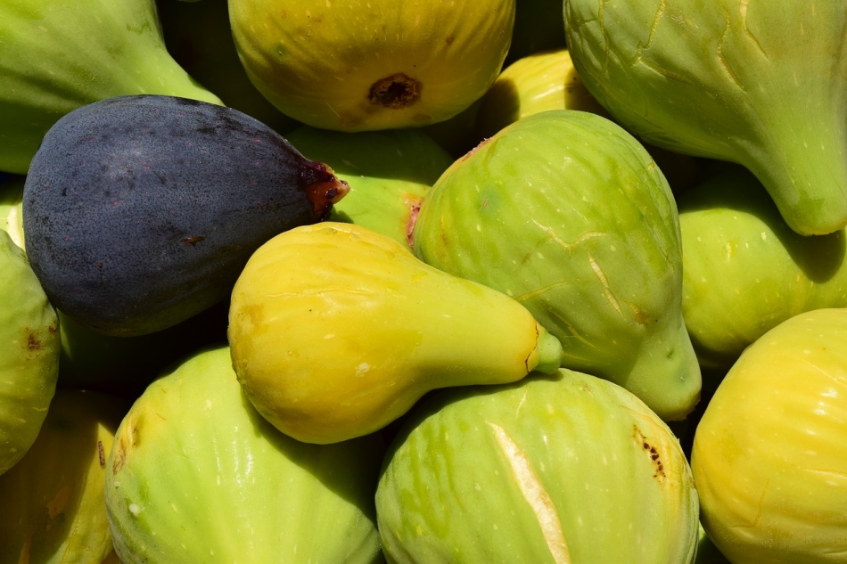 How to choose figs?