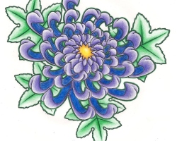 Comment dessiner des fleurs par étapes? Chrysanthemums: avec un crayon