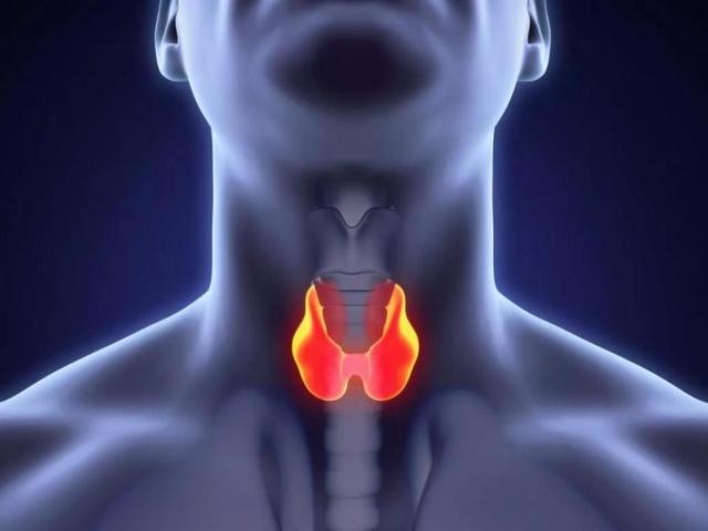 Types of thyroid diseases: what are they dangerous, what consequences can be?