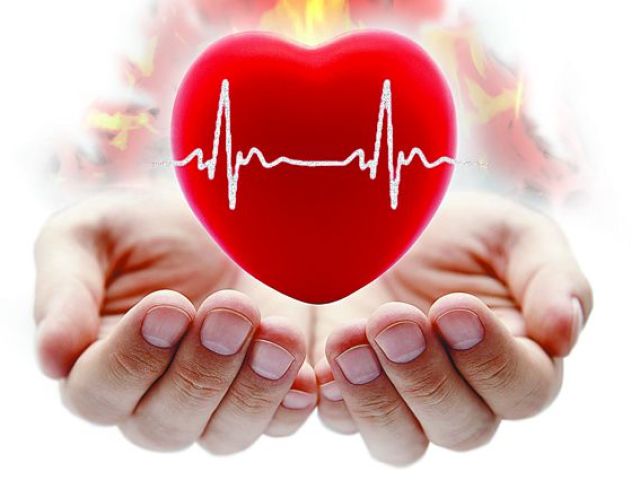 Что нужно есть, чтобы уберечься от инфаркта миокарда: списки, советы