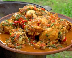 How to delibe to cook chakhokhbili from chicken semi -finished product: recipes, culinary tips. What seasonings are needed for chakhokhbili from chicken?