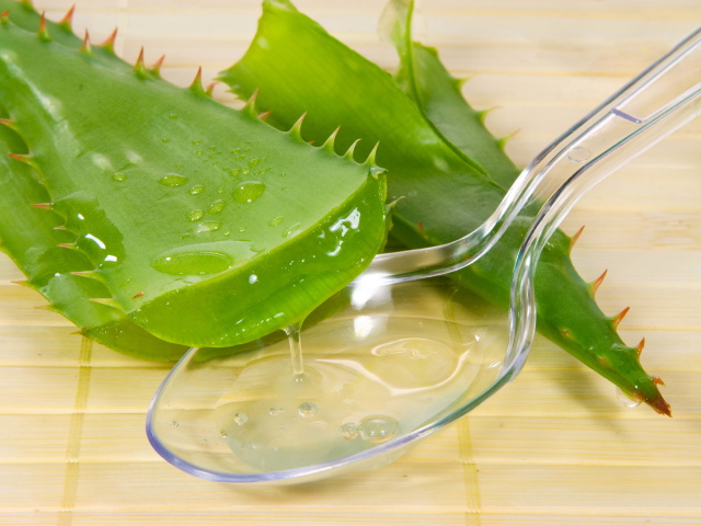 Aloe children. How to treat a runny nose and cough with aloe? Recipes of traditional medicine with aloe for children