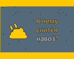 К чему снится навоз: толкование про коровье, лошадиное, свиное, куриное дерьмо по сонникам