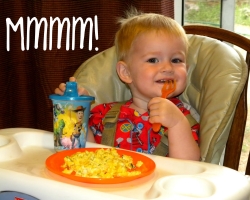 Hogyan főzzünk egy gyermek omlett egyéves gyermekek számára csirke- és fürjtojásból? Lehetséges -e az egyéves csecsemő omletje, terhesség alatt, szoptatás alatt?