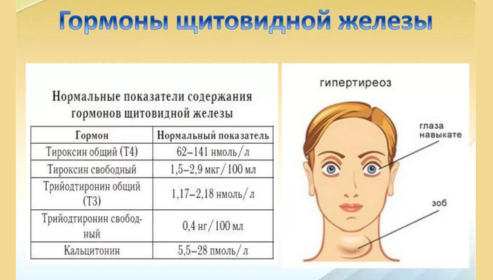 Hormonas básicas de la glándula tiroides