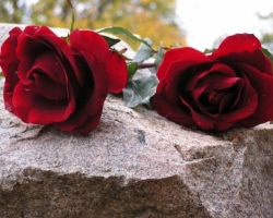 Είναι δυνατόν να τοποθετήσετε 3 λουλούδια στον τάφο ή να φυτέψετε 3 λουλούδια; Στον τάφο, κάποιος φυτεύτηκε τρία λουλούδια: είναι ζημιά;