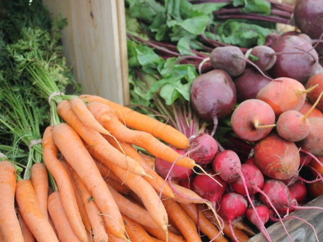 How to feed carrots and beets after seedlings, in June, July, August? How to feed the beets and carrots with folk remedies for the growth of root crops and sweets?