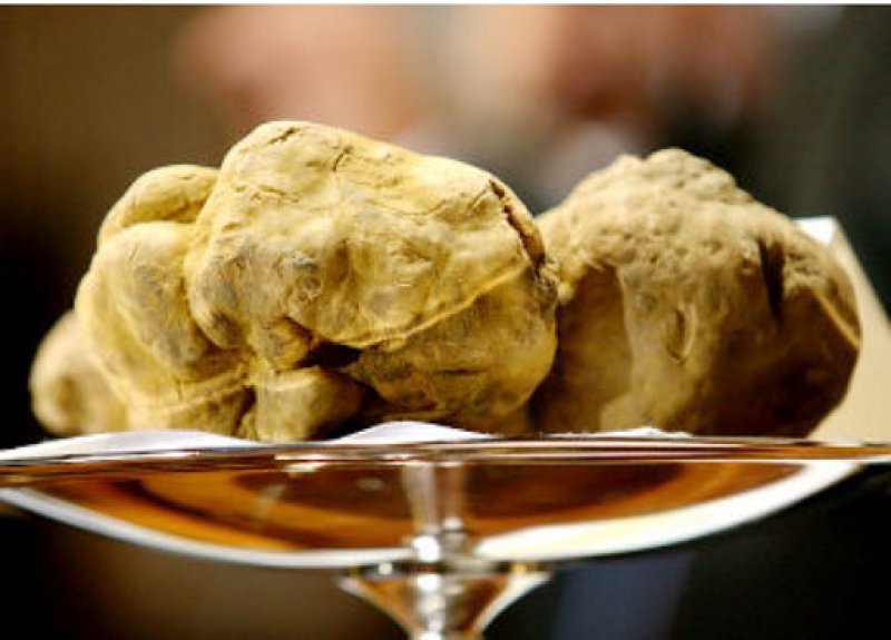 White truffles