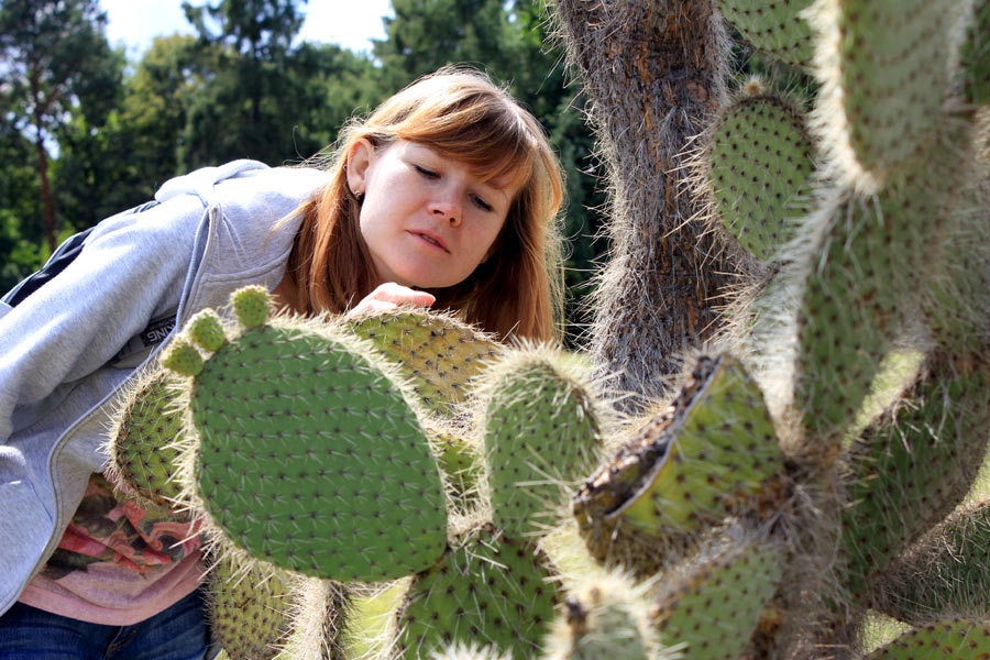 Amerikai kaktuszok