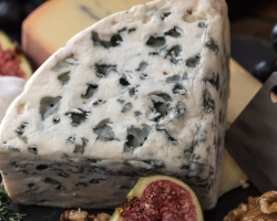 Hogyan lehet megérteni, hogy a sajt romlott a hűtőszekrényben: jelek. Hogyan néz ki az elkényeztetett sajt?