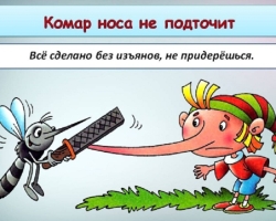 Что означает фраза «комар носа не подточит»: значение и происхождение фразеологизма