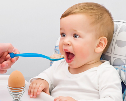 Pada usia berapa Anda dapat memberi anak telur, protein, kuning telur, telur utuh dalam makanan pelengkap? Berapa banyak telur puyuh dan ayam yang bisa anak -anak per hari, seminggu hingga satu tahun, tahun -yang berumur 2 tahun?