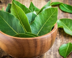 What will happen if you light up a bay leaf in the house, apartment?