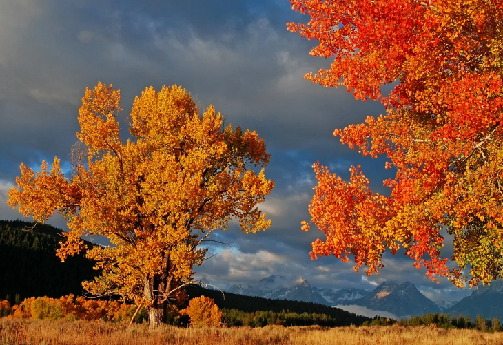 Beautiful autumn sky