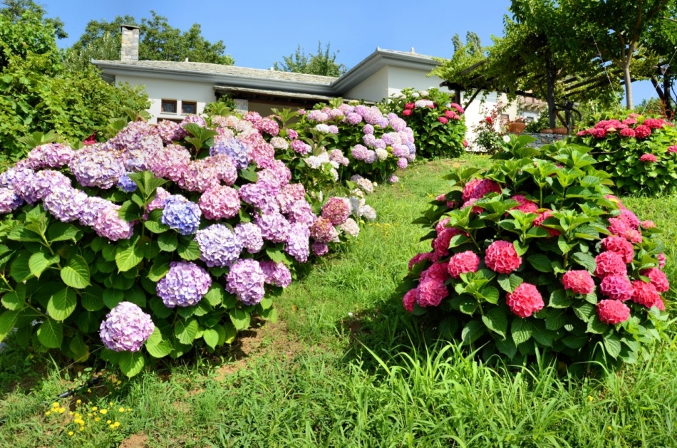 In der Nähe des Hauses