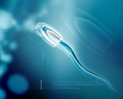 Male infertility is Leocopermia. Is pregnancy possible? Treatment of leCPPERIA
