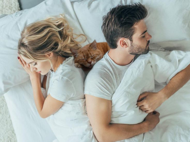 Кошка, кот спит между мужем и женой — примета