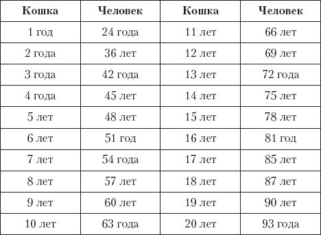 How many years to a cat by human standards is a table