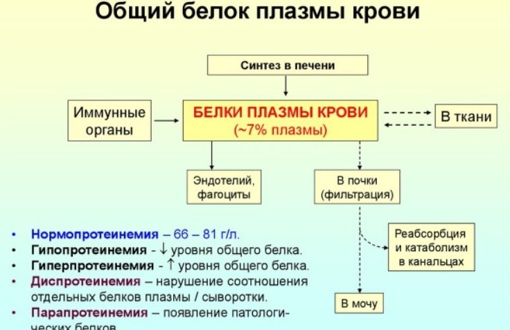 Състоянието на жената зависи