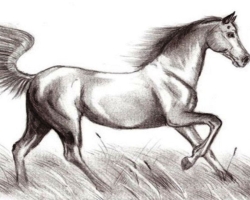 Как нарисовать настоящую лошадь карандашом поэтапно для начинающих и детей? Как нарисовать красиво морду, гриву лошади, бегущую, стоящую лошадь, в прыжке?