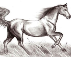 Comment dessiner un vrai cheval avec un crayon par étapes pour les débutants et les enfants? Comment dessiner magnifiquement un visage, une crinière de cheval, un cheval courant et debout, dans un saut?