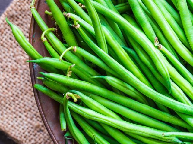 Peckal beans: benefits and harm. Podchki beans: energy and nutritional value, vitamins, calorie content per 100 grams