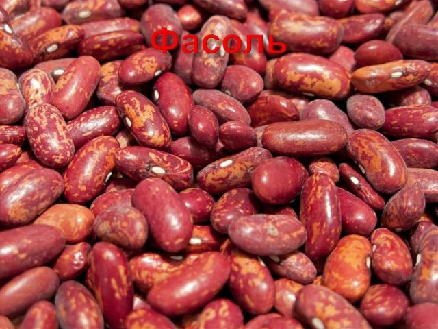 Est-il possible de manger des haricots crus rouges, blancs, de tarif - avantages et mal. Est-il possible de mourir de haricots crus?