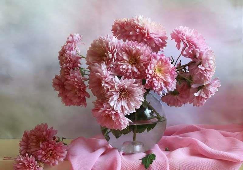 Chrysanthemums luxueux dans un vase