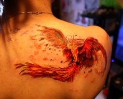 Tetoválás Phoenix: Jelentés lányok, nők, férfiak, vázlatok számára. Milyen tetoválásokat kombinálnak egy főnixel?