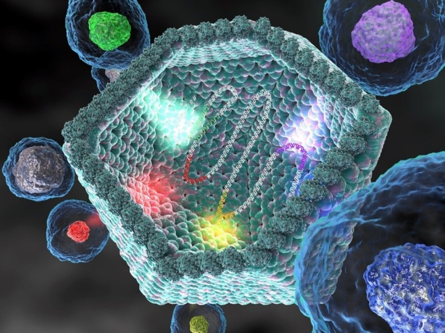 Škoda in prednosti virusov: prvih 10 uporabnih virusov za ljudi