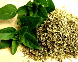 Oregano - seasoning: how does it look, where it is used, what can be replaced, with what spices it combines, how much to add to ready -made dishes? Oregano seasoning: contraindications and beneficial properties. How to prepare a mixture of seasonings, sauce with oregano: recipe