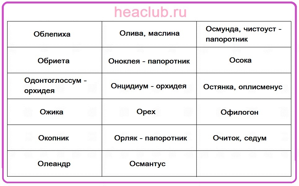 Names of flowers for O O Table