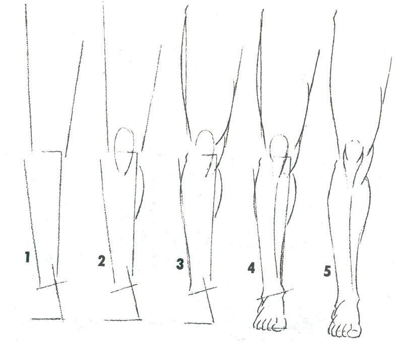 Как правильно рисовать ноги