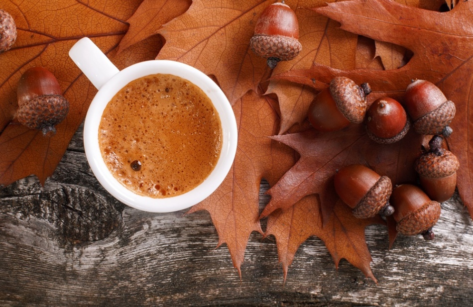 Ekollonkaffe: Vad heter det, vad smakar?