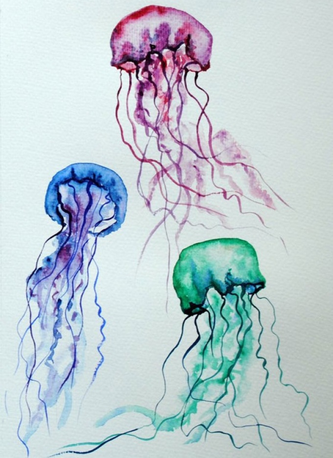 Рисунки-медузы, которые могут пригодиться для создания тату