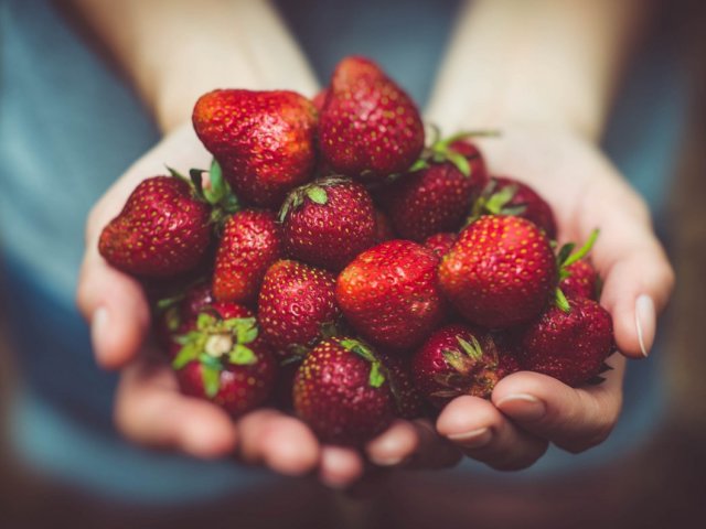 Comment distinguer une femelle buisson de fraises des hommes: le but de déterminer, l'amincissement correct des buissons - conseils aux résidents d'été et aux jardiniers