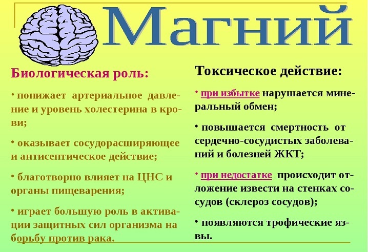 Зашто су магнезијум у телу мушкараца, жене, труднице, деца, новорођенчад: биолошка улога