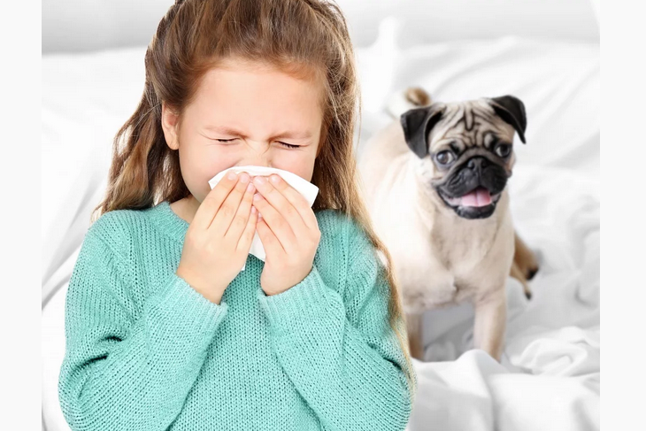 Allergy in children in the room