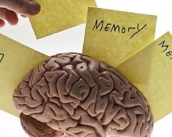 An elderly person loses memory: what to do? What to take older people from forgetfulness, to improve memory, how to train memory?